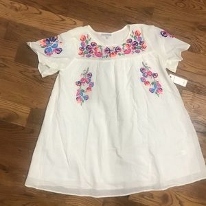 Floral Embroidered babydoll dress